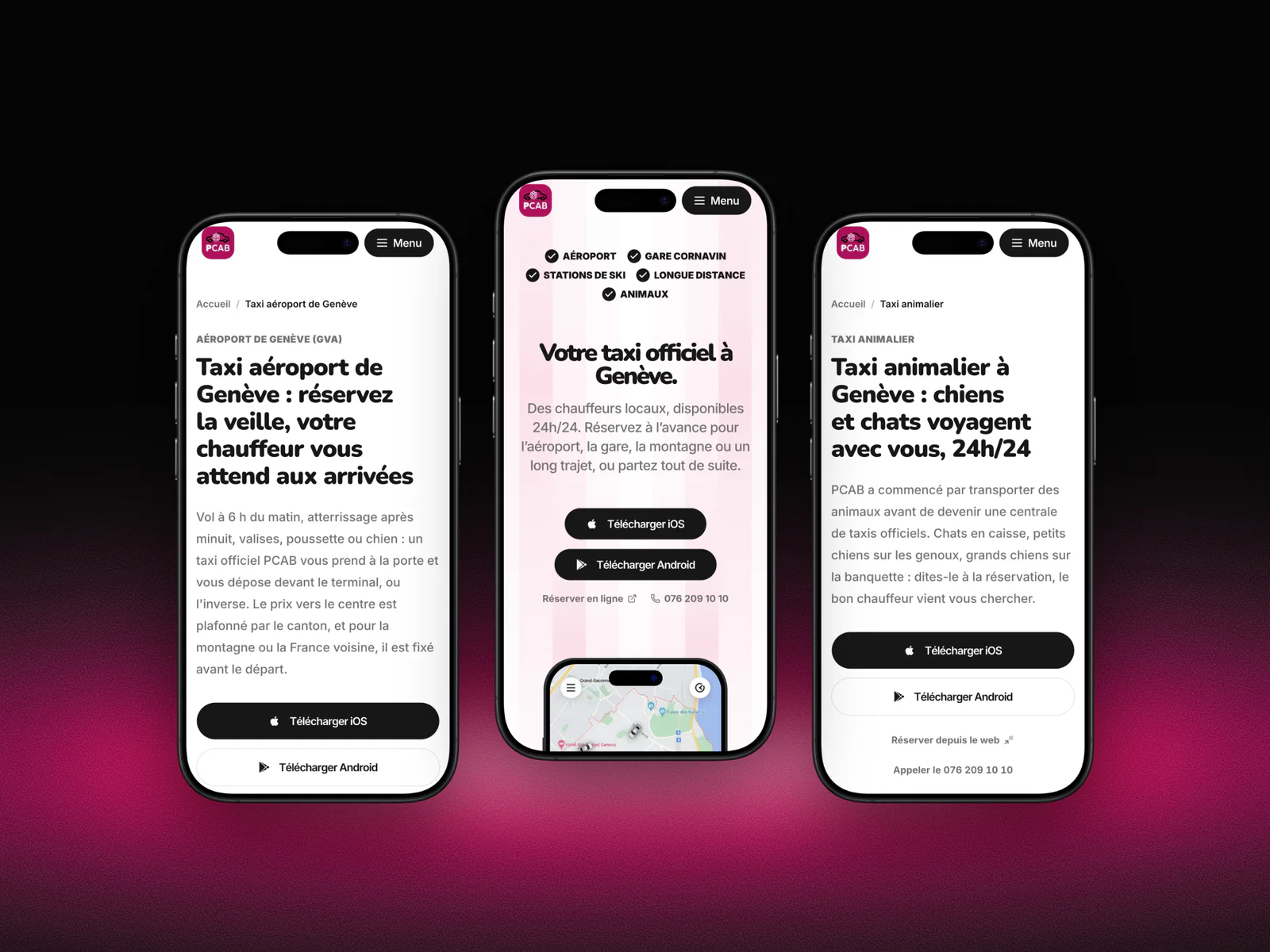 Trois pages du site PCAB sur iPhone : le taxi aéroport, l'accueil et le taxi animalier