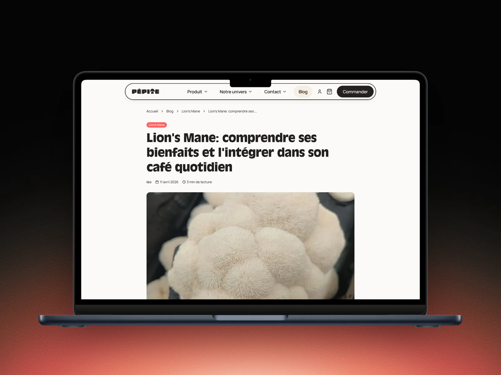 Article de blog Pépite sur un MacBook : Lion's Mane, comprendre et l'intégrer dans son café quotidien